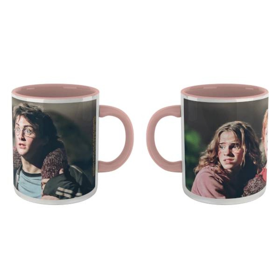 Geek Drinkware * | New In Harry Potter Hermione Ron And Harry Mug Pink